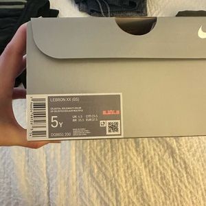 lebron basketball shoes